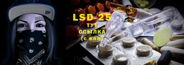 ПСИЛОЦИБИНОВЫЕ ГРИБЫ Алексин