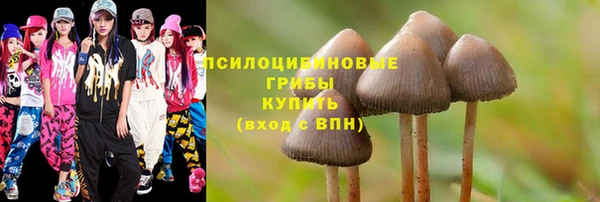 ПСИЛОЦИБИНОВЫЕ ГРИБЫ Алзамай