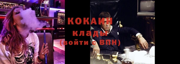 ПСИЛОЦИБИНОВЫЕ ГРИБЫ Алексин