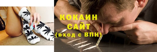 ПСИЛОЦИБИНОВЫЕ ГРИБЫ Алзамай