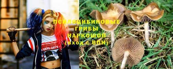 прущая мука Алексеевка