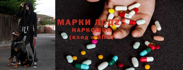 ПСИЛОЦИБИНОВЫЕ ГРИБЫ Алзамай