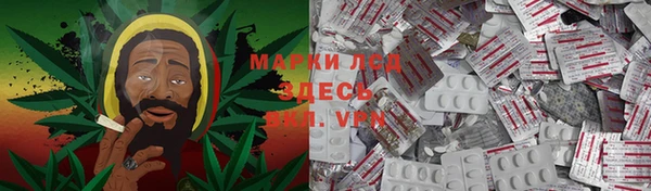 ПСИЛОЦИБИНОВЫЕ ГРИБЫ Алексин