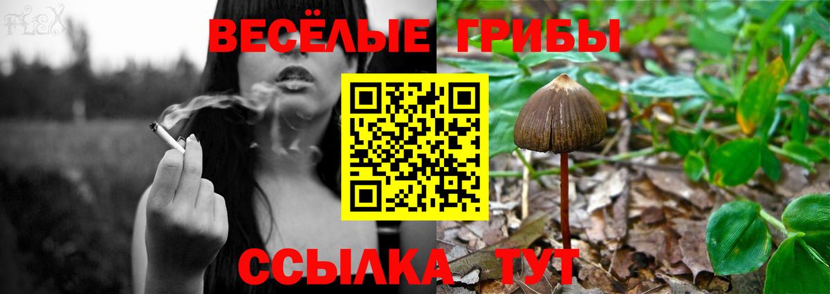 Галлюциногенные грибы Magic Shrooms  Галлюциногенные грибы прущие грибы  Котельники  Вход с VPN 