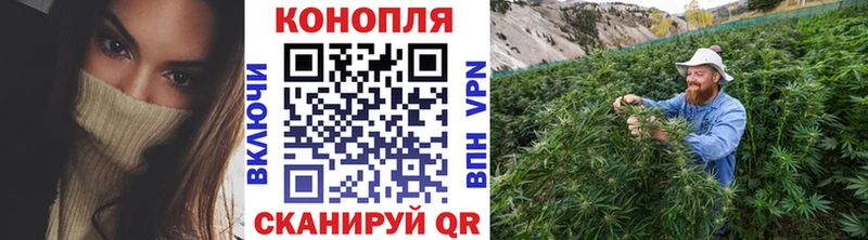 Каннабис индика  Котельники 